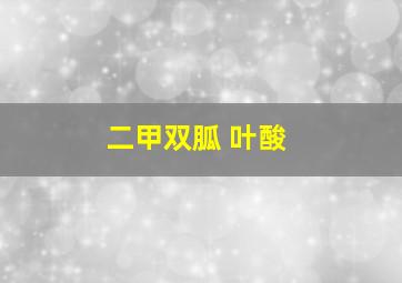 二甲双胍 叶酸